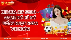 xiboba hot sodo